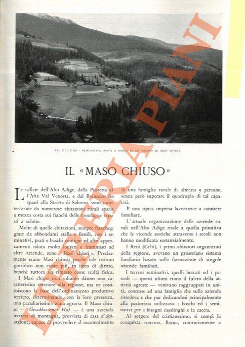 “Maso chiuso” - Cesare Silla - copertina