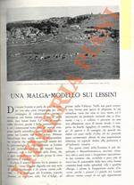 Una malga-modello sui Lessini