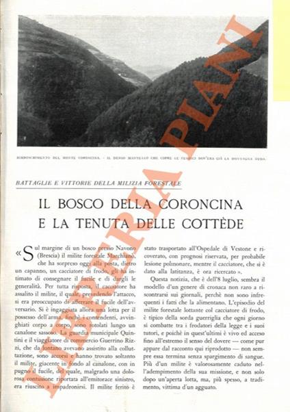 Il bosco della Coroncina e la tenuta delle Cottède - Ulderico Tegani - copertina