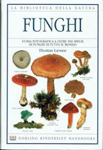 Funghi