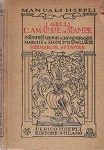 L' amatore di stampe