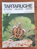 Tartarughe di terra, palustri, marine