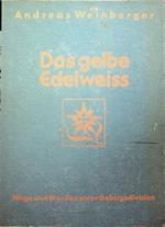 Das gelbe Edelweiss: Wege und Werden einer Gebirgsdivision