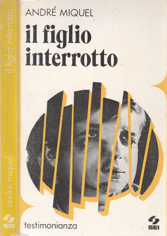 Il figlio interrotto - André Miquel - copertina