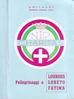 Manuale di preghiere per i pellegrinaggi a Lourdes, Loreto, Fatima