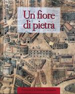 Un fiore di pietra