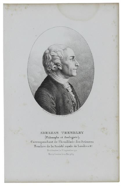 Portrait De Abraham Trembley (Philosophe Et Zoologiste) 1710-1784. Gravure Sur Acier Dessinée Et Gravée Par Ambroise Tardieu - 1825 - copertina