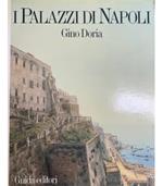 I palazzi di Napoli