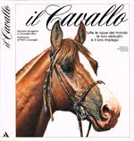 Il Cavallo