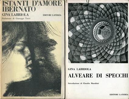 Istanti D'Amore Ibernato - Gina Labriola - copertina