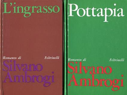 L' ingrasso - Silvano Ambrogi - copertina