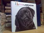 L for LABRADOR / photographs by Araldo De Luca. 2010