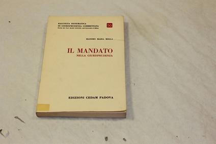 Il Il mandato nella giurisprudenza - copertina