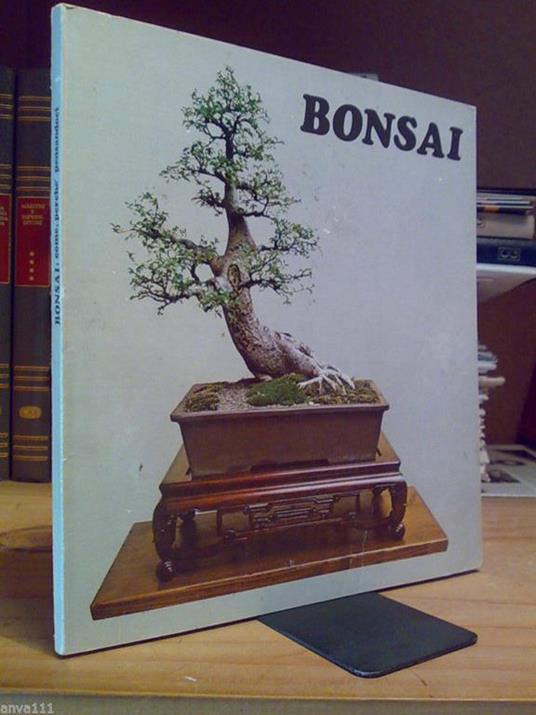 Giorgi Gianfranco - BONSAI : come perchè pensandoci - s.d - copertina