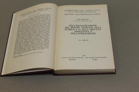 Dell'emancipazione dei minori affidati alla pubblica o alla privata assistenza e dell'affiliazione - Aldo Dell'Oro - 2