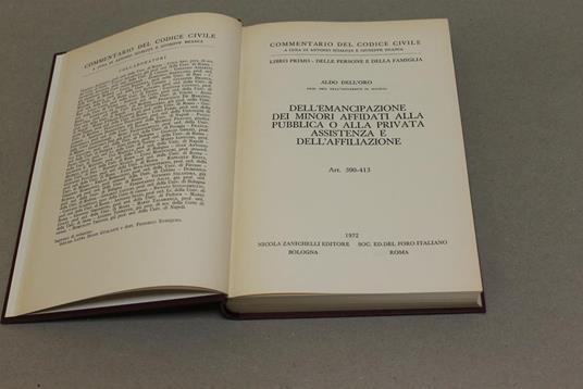 Dell'emancipazione dei minori affidati alla pubblica o alla privata assistenza e dell'affiliazione - Aldo Dell'Oro - 2