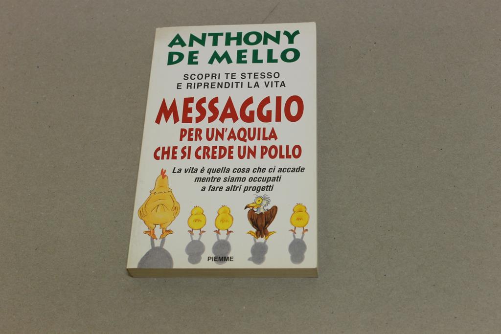 Amarcord Libri