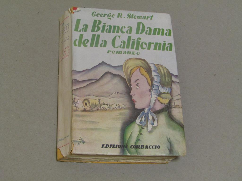 Amarcord Libri