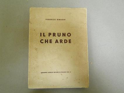 Il Il Pruno Che Arde - Federico Binaghi - copertina