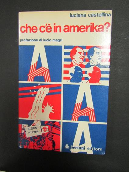 che c'è in amerika?. Bertani. 1973 - Luciana Castellina - copertina