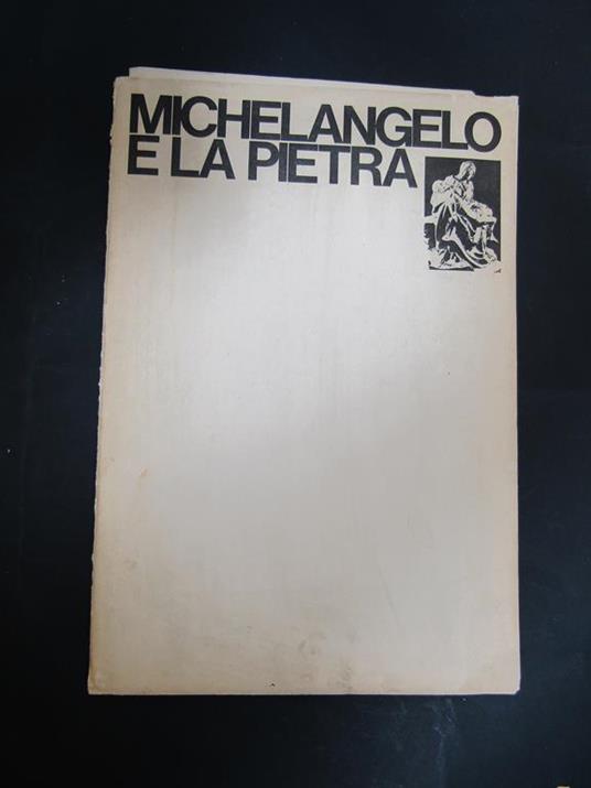 Michelangelo e la pietra. Ente fiuggi. s.d - copertina