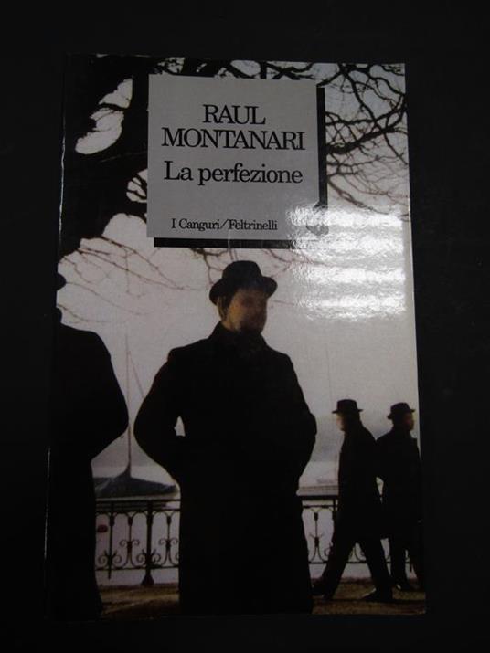 La perfezione. Feltrinelli. 1994-I - Raul Montanari - copertina