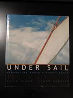 Glenn David e McBride Simon. Under Sail: Aboard the World's Finest Boats. Artisan 2001