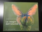Natura in Alto Adige. La magia dell'istante. Folio Editore 2003 - I