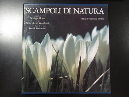 Scampoli di natura. Priuli & Verlucca 1989. Con cofanetto - copertina