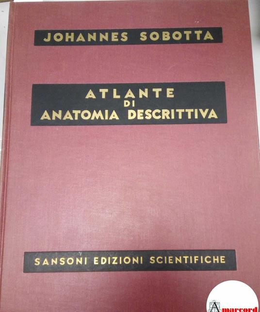 Sobotta Johannes, Atlante di anatomia descrittiva (Vol. 3), Sansoni Edizioni Scientifiche, 1961 - Johannes Sobotta - copertina