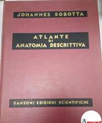 Sobotta Johannes, Atlante di anatomia descrittiva (Vol. 3), Sansoni Edizioni Scientifiche, 1961