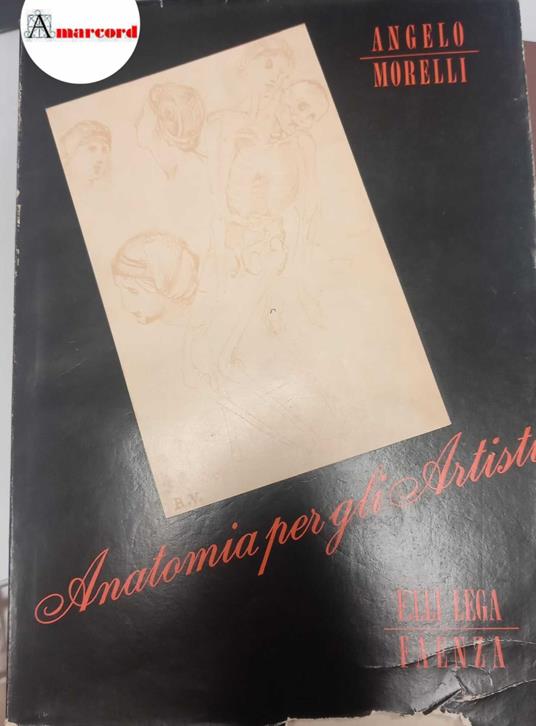 Morelli Angelo, Anatomia per gli artisti, Fratelli Lega, 1954 - I - Angelo Morelli - copertina