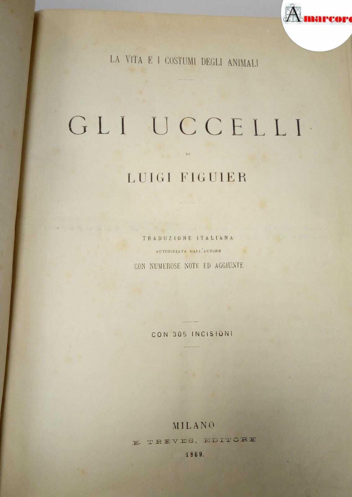 Amarcord Libri