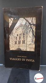 Angelini, Cesare. Viaggio in Pavia Pavia Tip. Fusi, 1964 Prima edizione