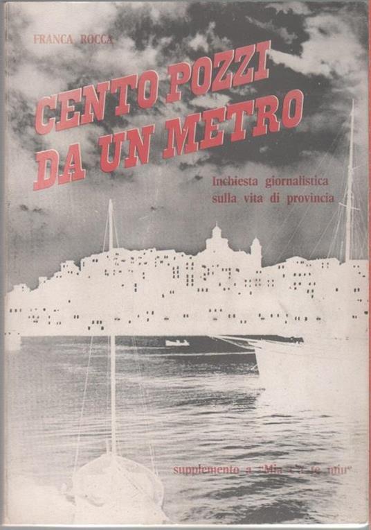 Cento pozzi da un metro. Inchiesta giornalistica sulla vita di provincia - Franca Rocca - copertina