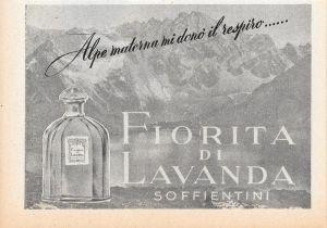 FIorita di Lavanda. Soffientini. Advertising 1947 - copertina