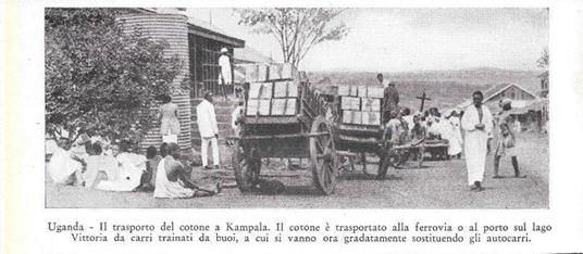 Uganda, trasporto del cotone a Kampala. Stampa 1934 - copertina