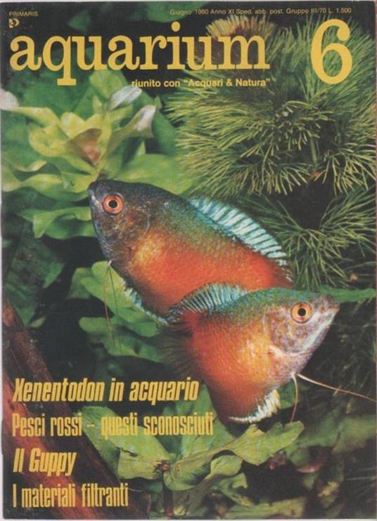 Aquarium. 1980 n 6 - copertina