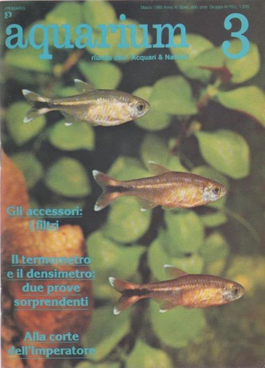 Aquarium. 1980 n 3 - copertina