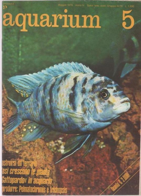 Aquarium. 1978 n 5 - copertina