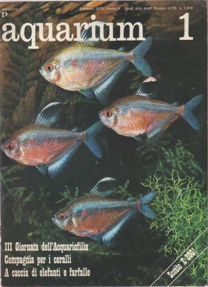 Aquarium. 1978 n 1 - copertina