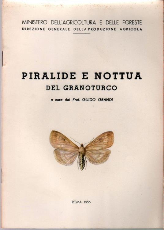 Piralide e nottua dl granturco - Guido Grandi - copertina