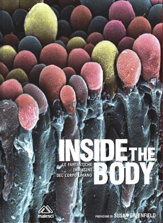 Inside the body. Le fantastiche immagini del corpo umano