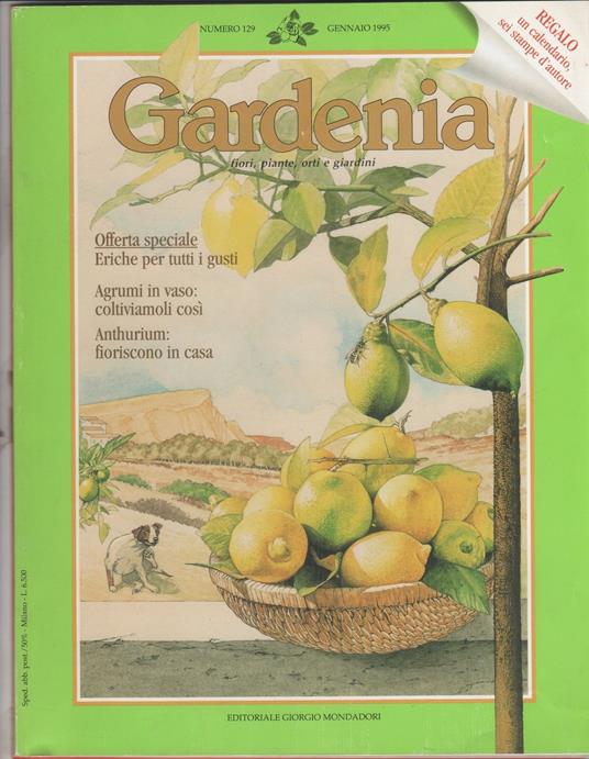 Gardenia rivista. n. 129. Gennaio 1995 - Libro Usato - Mondadori - | IBS