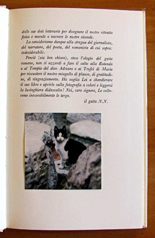 Il Gatto Romano - Mario Dell'Arco - 5