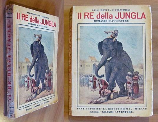 Il Re Della Jungla - Romanzo D'Avventure - copertina