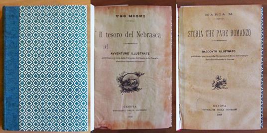 IL TESORO DEL NEBRASCA e STORIA CHE PARE ROMANZO - copertina