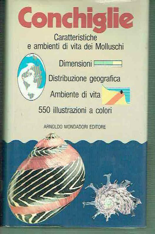 Conchiglie Bruno Sabelli Ed. Mondadori Editore 1980 - Bruno Sabelli - copertina
