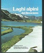 Laghi alpini del Bresciano : paesaggio, natura, archeologia, antiche descrizioni