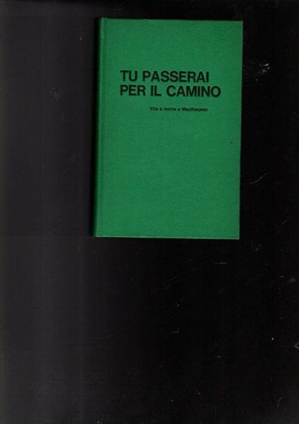 Tu Passerai Per Il Camino Vita E Morte A Mauthausen - Vincenzo Pappalettera - copertina
